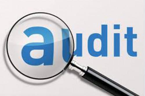What is Stock Audit?
