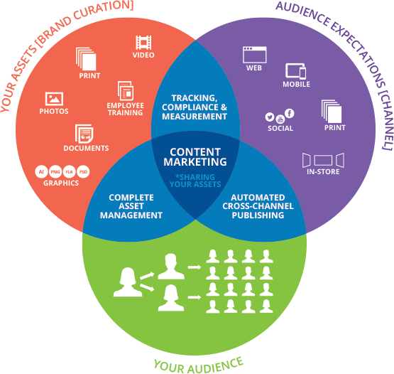 diagram for factors in field sales team management