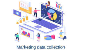 Marketing Data Collection Services