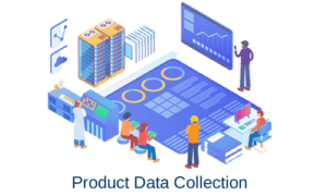 Data Collection Services in India