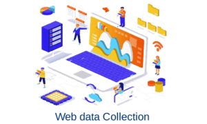 Data Collection Services in India