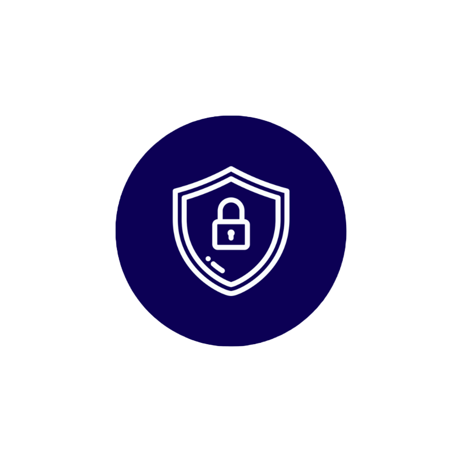 Data privacy & security concerns icon
